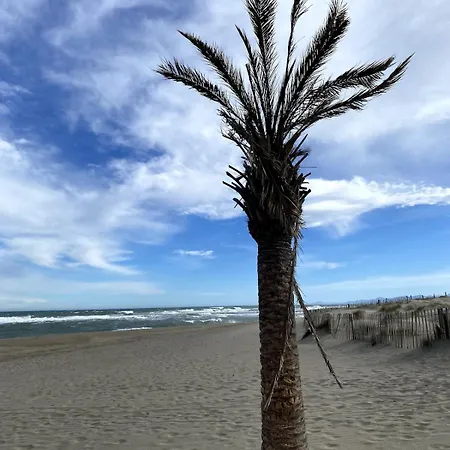 T2 Vue Première Ligne * Le Barcarès