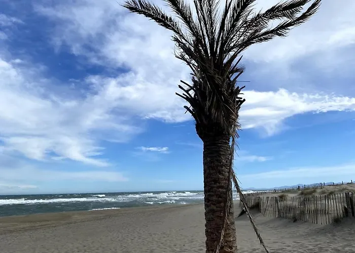 T2 Vue Premiere Ligne * Le Barcarès